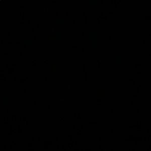 Meet your Posher, Bianca